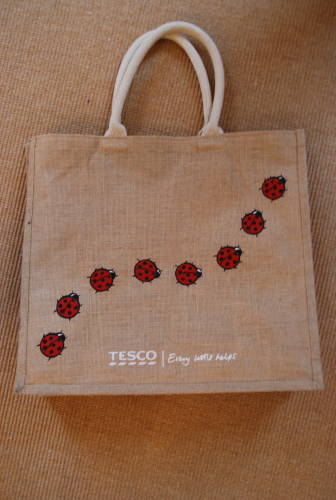 TESCO　BIG　ECO BAG！_d0143417_141968.jpg