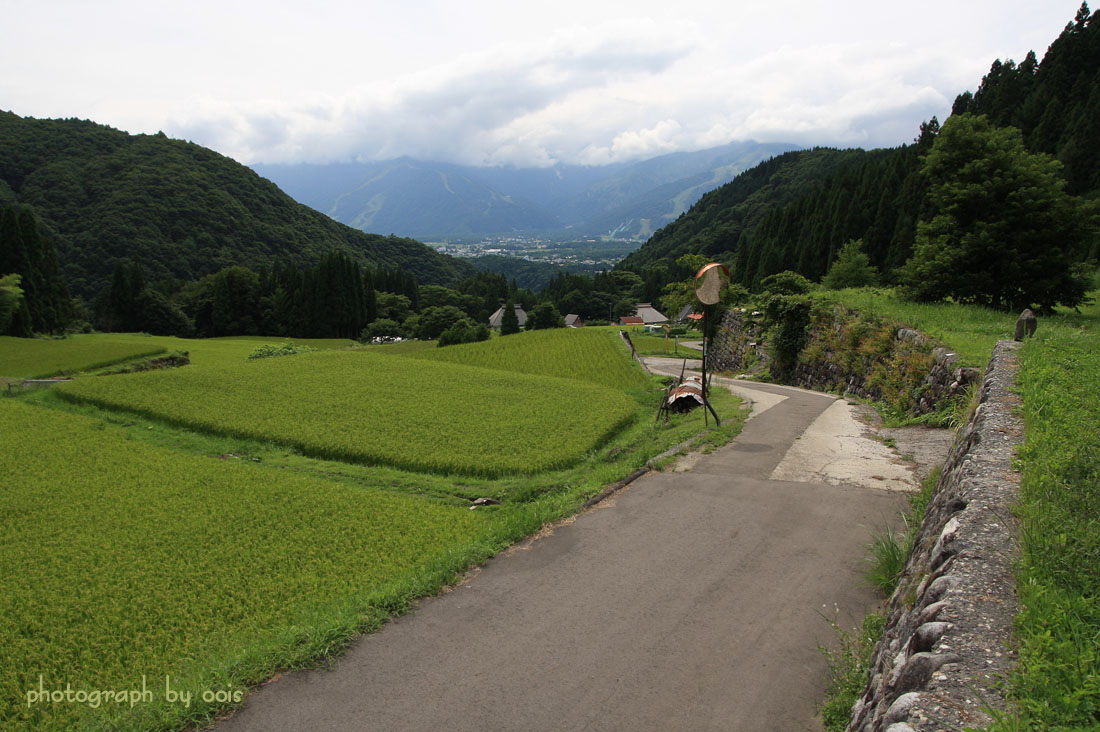 e0123723_6564220.jpg