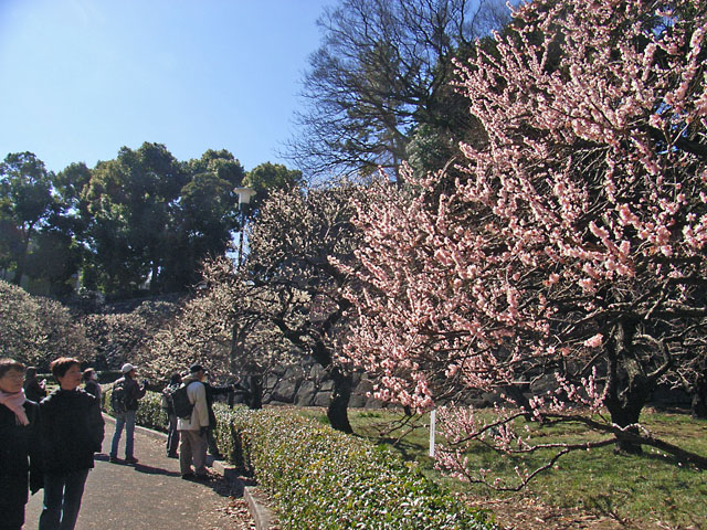 c0019930_11354416.jpg