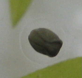 a0044136_22534751.jpg
