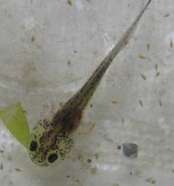 a0044136_22541428.jpg