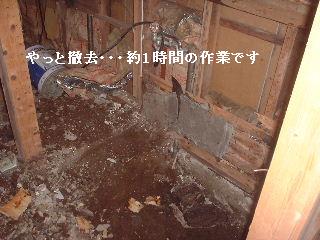 リフォーム作業2日目_f0031037_2175153.jpg