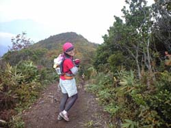 madarao forest trails 50km race 2008_d0107938_22451048.jpg