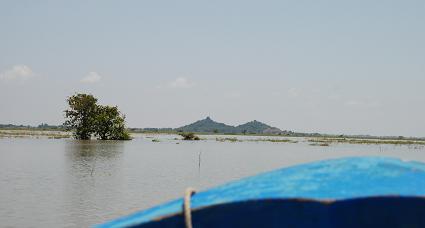 f0136038_1132.jpg