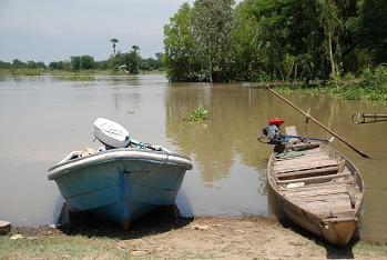 f0136038_12349.jpg
