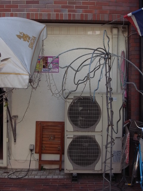 a0087341_8124752.jpg