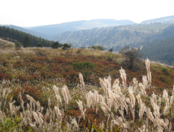 c0148548_22381349.jpg
