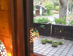 c0148548_2338745.jpg