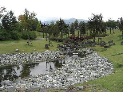八色の森公園ナナカマド紅葉_a0084753_15244168.jpg