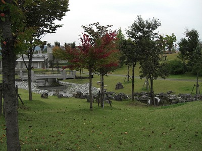 八色の森公園ナナカマド紅葉_a0084753_15321171.jpg