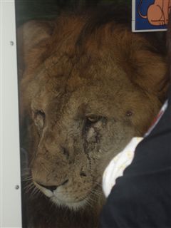 多摩動物園_d0082655_1405133.jpg