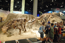 8日目・ロイヤルティレル((Royal Tyrrell)博物館_c0113163_21295529.jpg