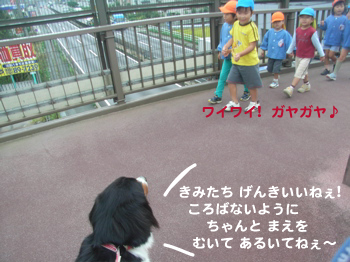 e0124868_17551911.jpg