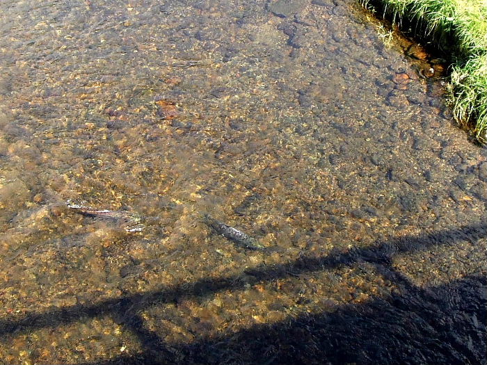 b0067569_175469.jpg