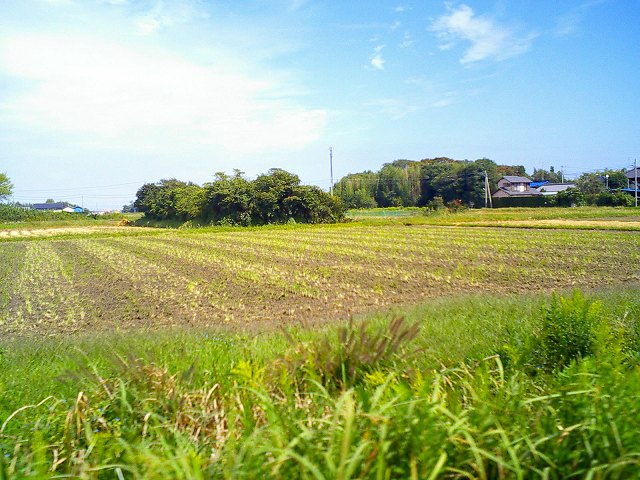 b0155973_18193184.jpg