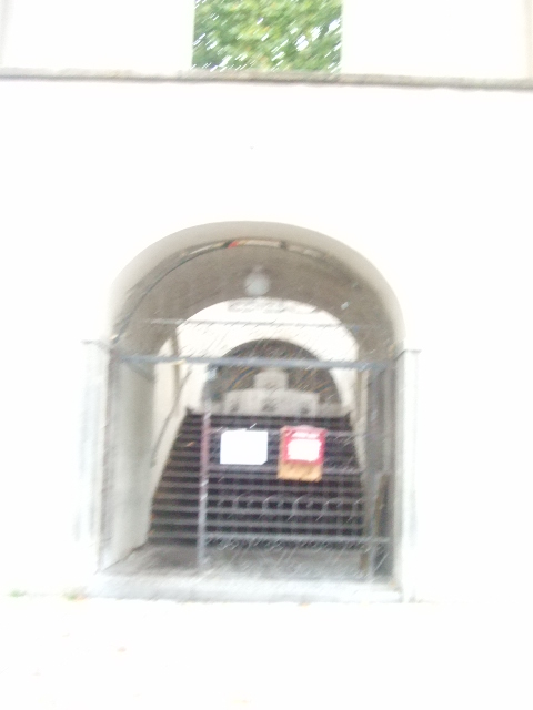 d0084677_3142631.jpg