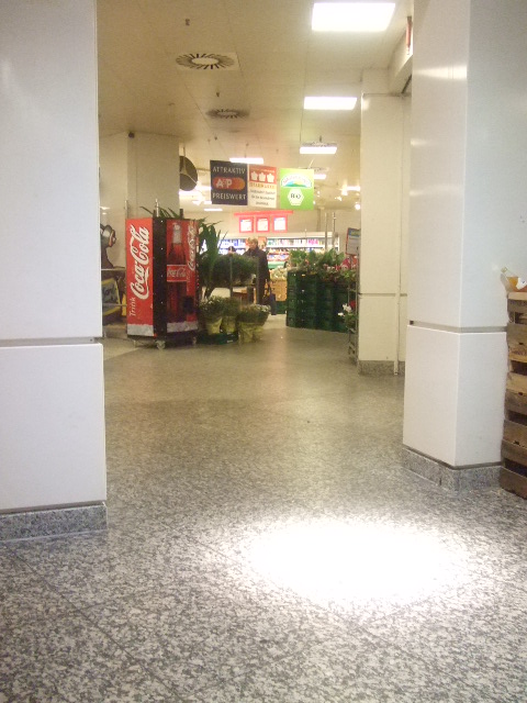 d0084677_318554.jpg