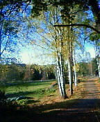 a0049980_0275859.jpg