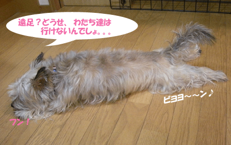 e0066883_20123823.gif