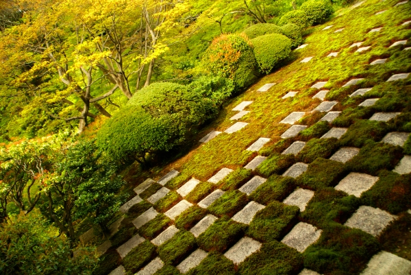 京都小旅行 ～仏閣編～_f0189086_2158888.jpg