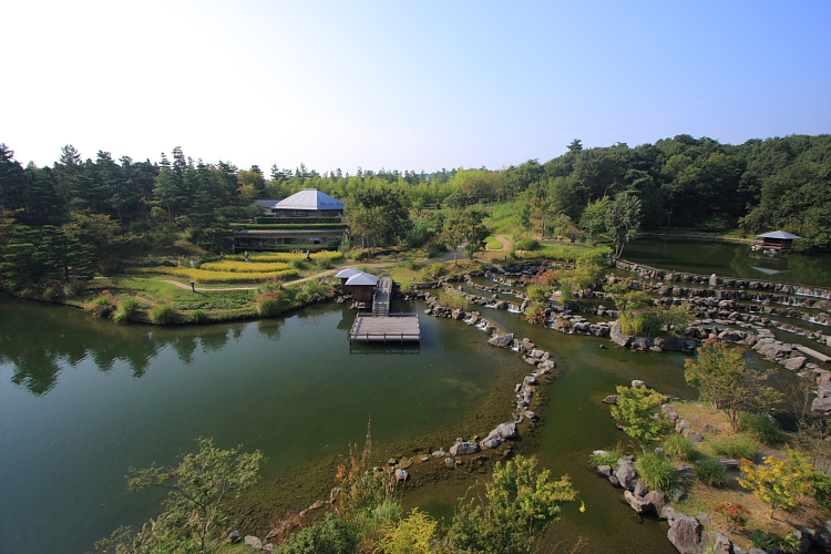 京都の南部ポタリング　前編　-けいはんな編-_e0051888_10144721.jpg