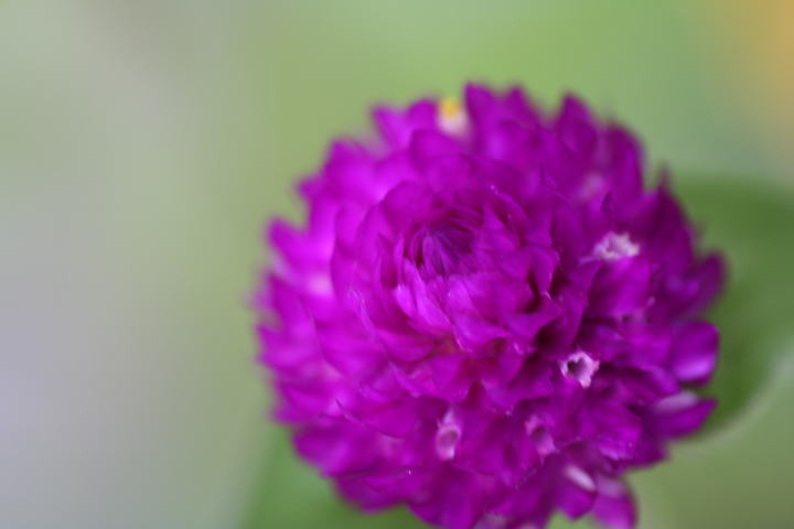 c0129389_7595514.jpg