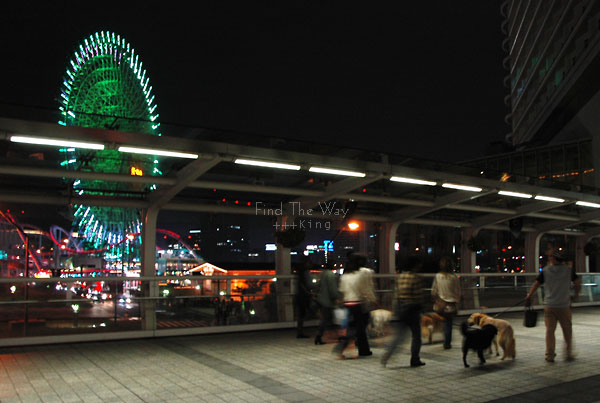 【散歩日和】横浜・みなとみらい 2/2 〜 背中_f0054594_3335032.jpg