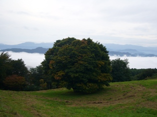 c0099395_949401.jpg