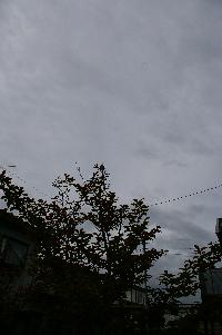 c0039898_928376.jpg