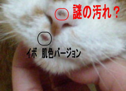 f0187700_94214100.jpg