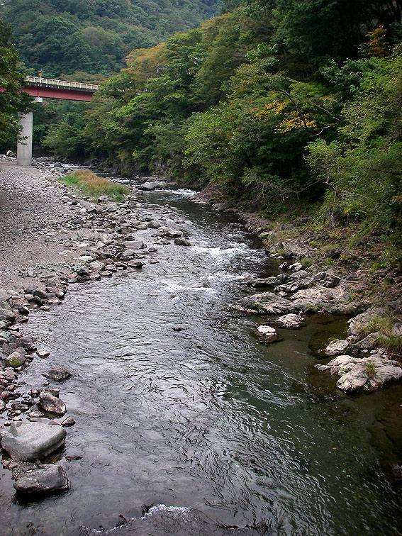 c0095801_17313863.jpg