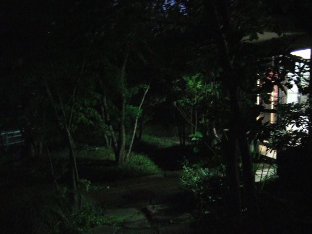 秋ですねぇ_f0108604_1812196.jpg