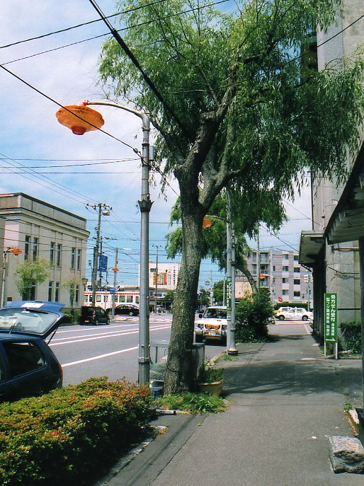 函館銀座通り・レトロ建築コレクション(その５、銀座の街灯)_f0142606_2351959.jpg