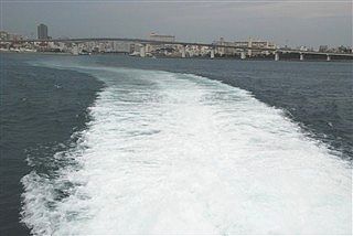 c0116714_6014.jpg