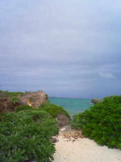 d0112024_22255141.jpg