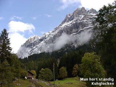 Grindelwald 2 村からの眺め_d0144726_450147.jpg