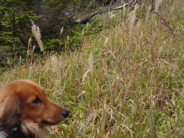 e0120131_1818445.jpg