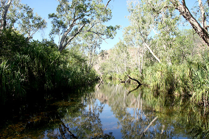 Top End Safari Camping Tour Day4_c0035836_20511326.jpg