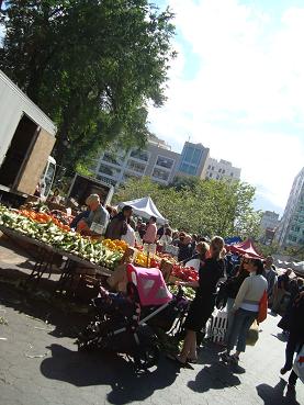 Union Square Greenmarket 都会の青空市場!_e0120938_13266.jpg