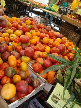 Union Square Greenmarket 都会の青空市場!_e0120938_134328.jpg