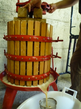 travasare_d0136540_2155614.jpg