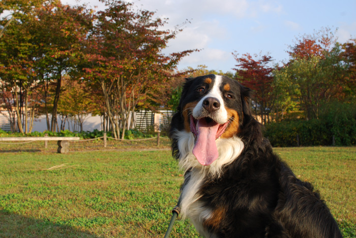 有馬富士公園_f0139642_21383243.jpg