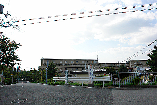 b0088444_22253338.jpg