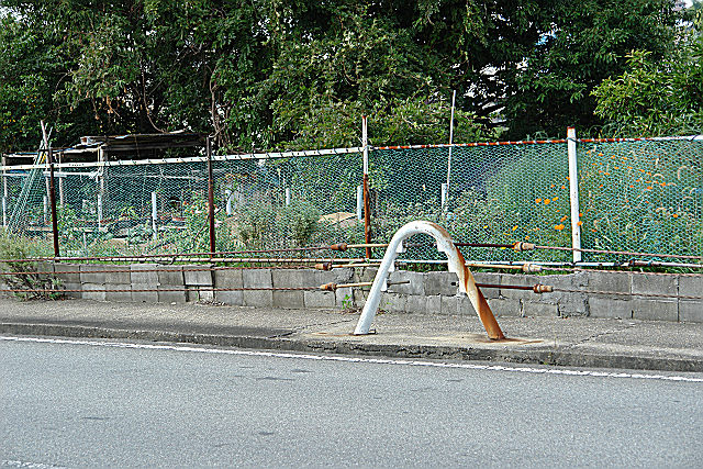 b0088444_2234962.jpg