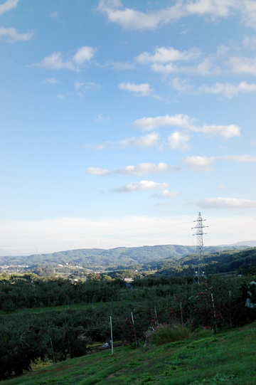 d0008146_21451039.jpg