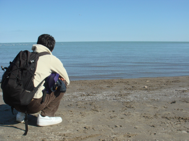 c0081257_56995.jpg