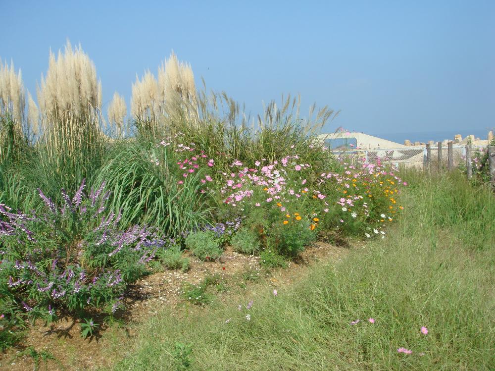 c0108460_16515470.jpg