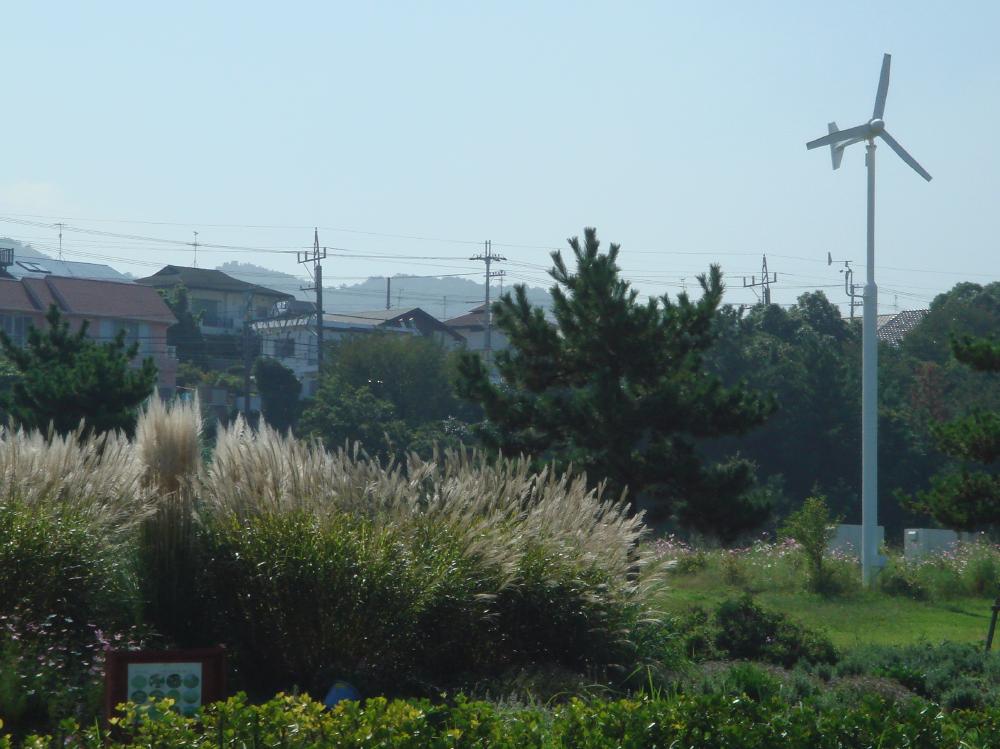 c0108460_16541689.jpg