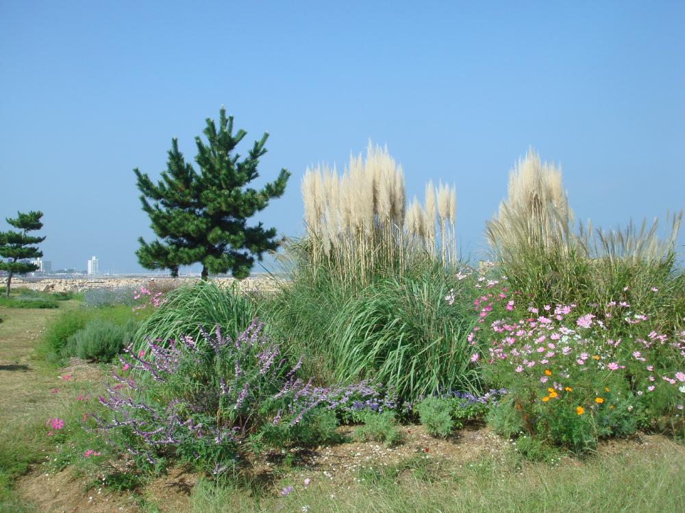 c0108460_16564796.jpg
