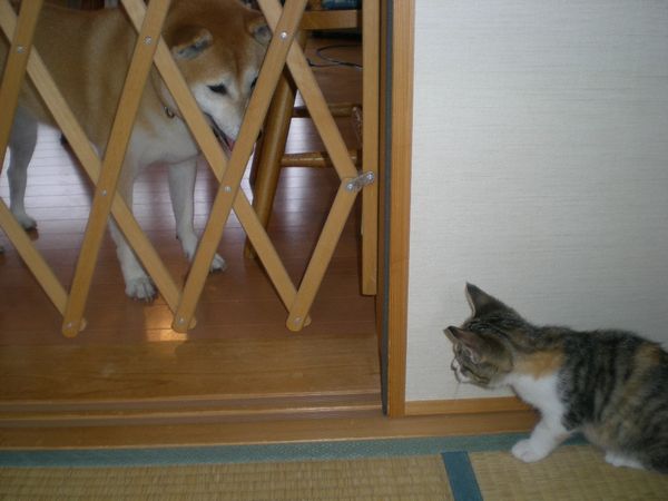 2008年10月8日(木)今日のバトル!_f0060461_16293913.jpg